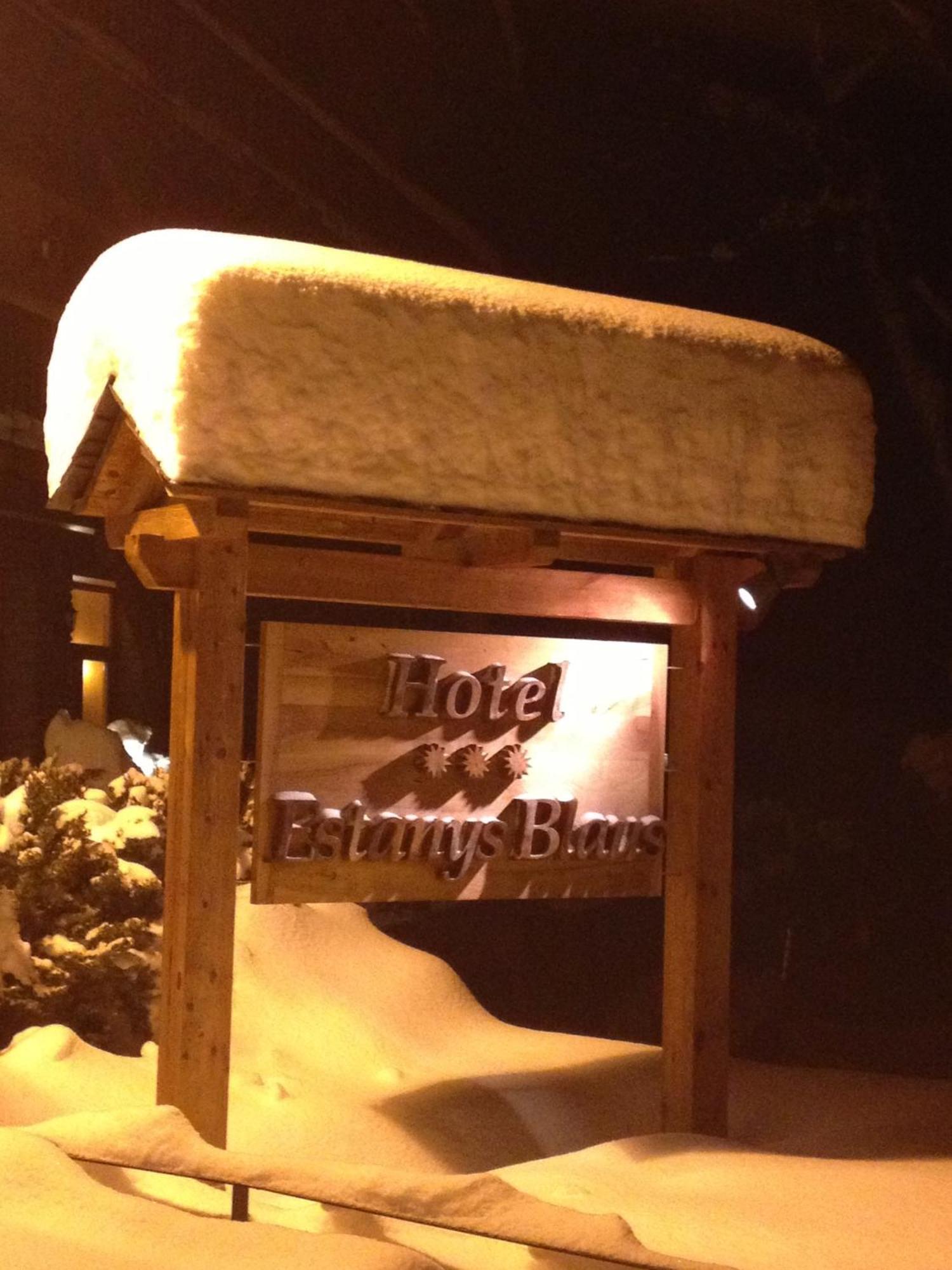 Hotel Estanys Blaus Tavascan Bagian luar foto
